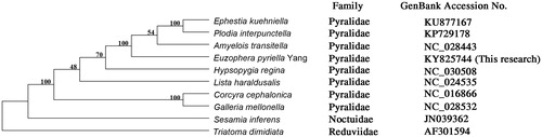 Figure 1. A phylogenetic tree based on whole mitochondrial genome sequences of 10 species. 8 species belong to Pyralidae; 1 species belongs to Noctuidae. Triatoma dimidiate (Hemiptera: Reduviidae) was used as an outgroup.
