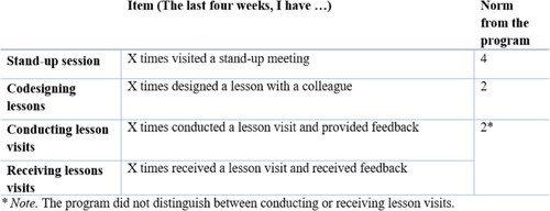 Figure 2. CIP questionnaire scale.