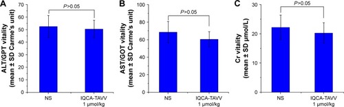 Figure 10 Effects of IQCA-TAVV on mouse Cr, ALT and AST, n=5.Notes: (A) Serum Cr of ICR mice treated with NS and 1 μmol/kg of IQCA-TAVV; (B) Serum ALT of ICR mice treated with NS and 1 μmol/kg of IQCA-TAVV; (C) Serum AST of ICR mice treated with NS and 1 μmol/kg of IQCA-TAVV.Abbreviations: ALT/GPT, alanine aminotransferase/glutamic pyruvic transaminase; AST/GOT, aspartate aminotransferase/glutamic oxaloacetic transaminase; Cr, creatinine; NS, normal saline; ICR, institute of Cancer Research.