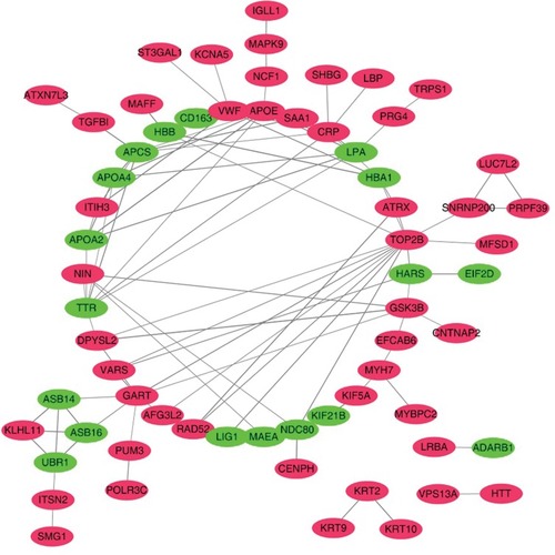 Figure 4 Network of proteins identified in overall differentially expressed proteins. Up- or downregulation is indicated by the color of nodes (upregulated in red and downregulated in green).
