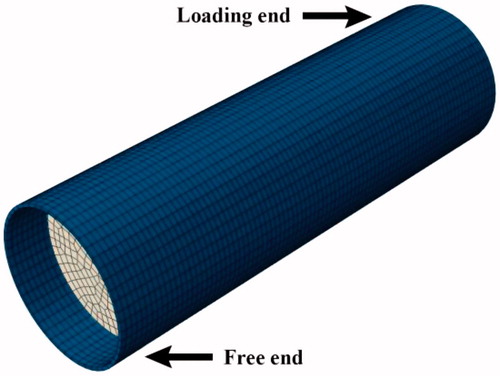 Figure 17. The finite model of RCST3.