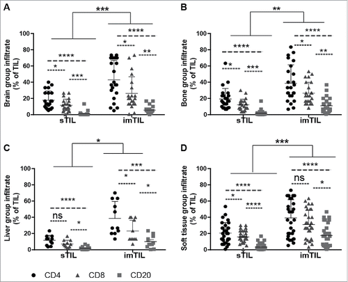 Figure 2. Similar distribution of TIL with regard to the investigated primary tumor compartments and the lymphocyte subtypes but irrespectively of the site of distant metastasis. Scatter graphs show that within the primary tumor compartments (iTIL (not shown), sTIL and imTIL) invasive margin TIL (imTIL) are significantly increased when compared to stromal (sTIL) TIL irrespectively of the particular site (A–D) to which metastasis had occurred. For all three compartments (iTIL not shown) CD4+, CD8+ and CD20+ lymphocyte subsets always followed the same gradient with CD4+ lymphocytes being the most prominent, followed by CD8+ lymphocytes and at last CD20+ lymphocytes again irrespectively of the anatomical site of distant metastasis (A–D). Significances are displayed as follows: ns = p > 0.05, *p ≤ 0.05, **p ≤ 0.01, ***p ≤ 0.001 and ****p ≤ 0.0001.