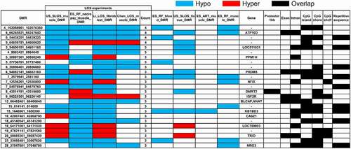 Figure 3. Example of LOS-associated vulnerable loci. Hypo = hypomethylation. Hyper = hypermethylation. Differentially methylated regions (DMR) identifiers are the positions in the bovine genome assembly ARS-UCD1.2. For complete information please refer to Table S2.