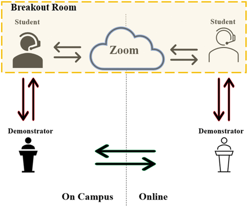 Figure 8. Communication channels during the mixed-mode delivery.