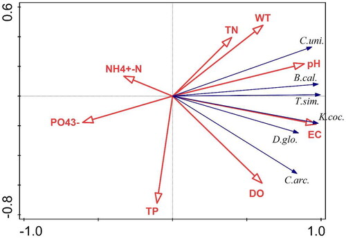 Figure 8. Redundancy analysis (RDA) of dominant zooplankton species and environmental factors in the provincial aquatic germplasm resource protection zone of Nanchong section of the Jialing River in summer of 2022. C.uni.—Conochilus unicornis; B.cal.—Brachionus calyciflorus; T.sim.—Trichocerca similis; K.coc.—Keratella cochlearis; D.glo.—Difflugia globulosa; C.arc.—Cyclopyxis arcelloides; N H4+–N–N H4+–N; P O43−–P O43−.