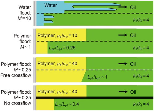 Figure 4. Various mobility ratio (M) scenarios in polymer flooding.[Citation31]