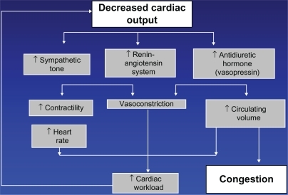 Figure 1 Current concept of heart failure.