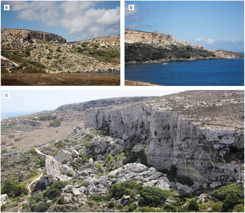 Figure 5. Landslides: (a) block slides (west of Dahlet Qorrot Bay); (b) earth flow and block slide (between San Blas Bay and Dahlet Qorrot Bay); (c) rock fall at the bottom of a limestone plateau and earth flow/slide affecting the underlying clayey terrain (between San Blas Bay and Dahlet Qorrot Bay).