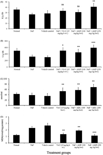 Figure 2. Effect of AMF on haematological parameters in NaF treated mice: (A) total WBC count and (B) haemoglobin level. Values are mean ± SD, n=6. ***p<0.001, **p<0.01, *p<0.05 (Tukey test). Vehicle control group was compared with treated groups.