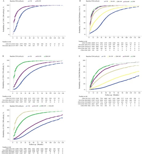 Figure 3. The cumulative probability of restoration of CD4 count and CD4/CD8 ratio in HIV-1-infected patients after ART initiation. Analyses of the cumulative probability of CD4 counts reaching above 200 (A), 350 (B), and 500 cells/μL (C). The cumulative probability of CD4/CD8 ratio reaching above 0.4 (D) and 0.8 (E).