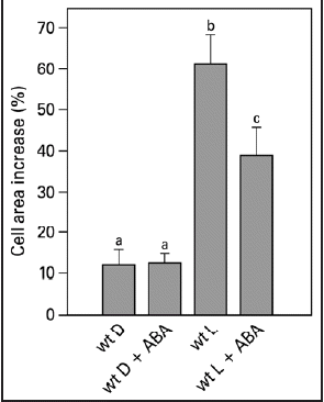 Figure 4 Pavement cell growth of the abaxial side of young expanding pea leaves of wt. Leaf strips were floating on a 10 mM KCl solution in darkness or in white light for 22.5 hr in the presence or absence of 50 µM ABA. Growth is expressed as explained in the legend of Figure 2. The values are means ± SE of at least four independent experiments. The letters above the bars indicate the statistical group of the results from a one-way ANOVA, with Newman-Keuls as post test, α = 0.05. D = dark; L = light (150 µmol m−2s−1).