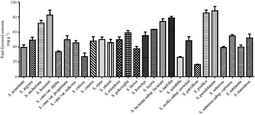 Figure 1. Total flavonoid amounts in the methanol extracts of the aerial parts of Scorzonera species as rutin equivalent (mg g−1 extract).