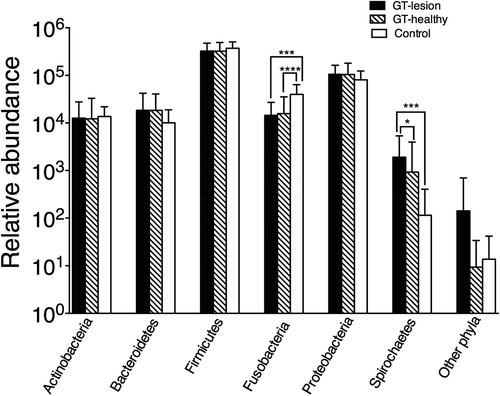 Figure 1. Relative abundance of the bacterial phyla among patients with geographic tongue (GT) and controls. Values shown are means ± standard deviation (SD). Comparisons between the groups were analyzed by the Kruskal–Wallis test; *p < 0.05; ***p < 0.001; ****p < 0.0001. The group ‘other phyla’ comprises the five phyla listed in Table 2.