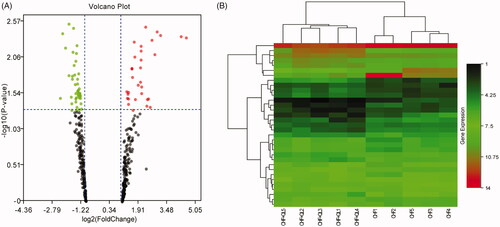 Figure 5. miRNA-seq data corresponding to DEmiRNAs between CHF model and QL groups. (A) Volcano plots of transformed log2 fold changes against p-values (−log10) corresponding to transcripts per million reads under both conditions examined. Green and red dots represent differentially expressed miRNAs. Black dots represent miRNAs not differentially expressed. (B) Hierarchical cluster of DEmiRNAs in the CHF vs. QL groups. Average DEmiRNA signals in each group were clustered with a Euclidean distance function. MiRNAs exhibiting similar expression patterns were clustered together (n = 5 per group). MiRNA-seq: miRNA-sequencing; DEmiRNAs: differentially expressed miRNAs.