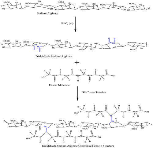 Figure 2. Scheme, showing the overall formation of the film.