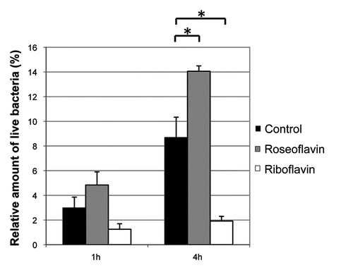 Figure 7 Riboflavin reduces the ability of L. monocytogenes to infect and proliferate inside HeLa cells. HeLa cells were infected with L. monocytogenes pretreated with roseoflavin or riboflavin (100 µM) for 1 generation at OD600 = 0.2. By viable counting, the amount of live bacteria was measured 1 hour or 4 hour post-infection, respectively, and these quantities were related to the number of live bacteria added to the HeLa cells and shown as mean values with standard deviations (n = 2). The invasivity of the treated bacteria were compared to untreated bacteria using Student t-test (two-tailed) (*p < 0.05).