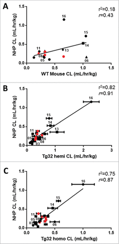 Figure 5. Correlation of mAb CL in Rodents to mAb CL in NHP. Linear correlation graphs of (A) WT mouse CL to NHP CL for 15/27 mAbs, (B) Tg32 hemizygous mouse CL to NHP CL for 25/27 mAbs and (C) Tg32 homozygous CL to NHP CL for 23/27 mAbs. Tg32 mouse CL results are shown as the mean ± standard deviation for 3-6 animals/group. Symbols: •Display full size, definitive linear CL values; ▪Display full size, apparent linear CL in NHP only; ▴Display full size, apparent linear CL in rodent only; ♦Display full size, apparent linear CL in both NHP and rodent. •Display full size, Pfizer mAbs , marketed therapeutic mAbs.