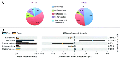 Figure 3. Increased abundance of Proteobacteria and rare phyla, decreased abundance of Firmicutes in tissue samples. (A) Pie charts reflect the proportions of the four major gut phyla as well as rare phyla (<1% abundance) in the 15 tissue and fecal samples. (B) Extended error bar plot, illustrating the difference in the mean proportion of the four major phyla between tissue and fecal samples with bootstrapped confidence intervals.