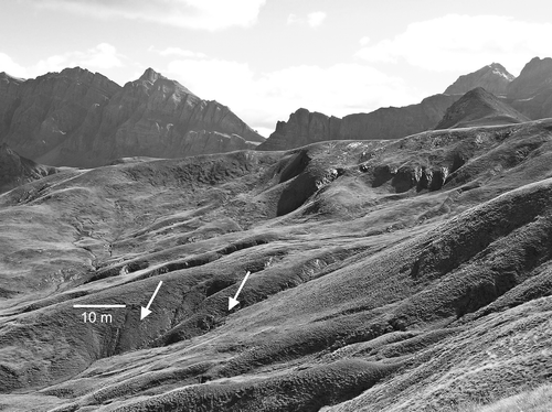 FIGURE 2 The dense gully network on Carboniferous slates close to the divide (pointed by the white arrows) is the main sediment source area in the catchment.