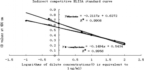 Figure 1. Indirect competitive ELISA calibration curve for the immunoreactivity detection of glycinin and β-conglycinin.