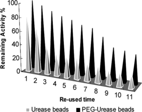 Figure 3 Operational stability of urease and PEG-urease beads.