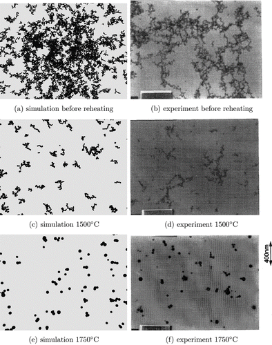 FIG. 10 TEM style images at different final temperatures compared against experimental pictures from CitationSeto et al. (1997).