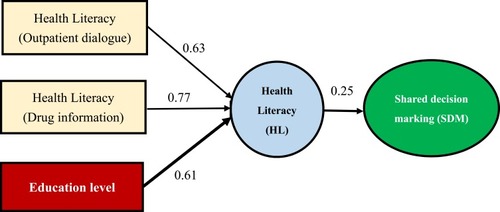 Figure 1 Path analysis of health literacy (HL) and shared decision making (SDM).