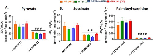 Figure 6. Liver mitochondria from female mice do not display significant differences in the rate of H2O2 production. Mitochondria were isolated, energized with pyruvate/malate, succinate, or palmitoyl-carnitine, and then the rate of H2O2 production was measured over the course of 5 min using Amplex UltraRed. Mitochondria were treated with various inhibitors for ROS production to ensure changes in the fluorescent signal were associated with H2O2 generation. N = 4, mean ± SEM, 1-way ANOVA with a Tukey's post-hoc test.