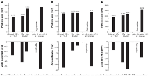 Figure 3 Particle size (top figures), its polydispersity (the value above the column on the top figures) and zeta potential (bottom figures) of nude NPs (A), NPs encapsulated with insulin (B) or naproxen (C), with or without dilution and pH changes, tested by dynamic light scattering.Abbreviation: NP, nanoparticle.