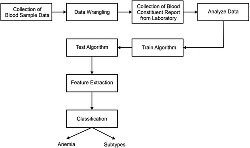 Figure 1. Steps used in proposed algorithm.