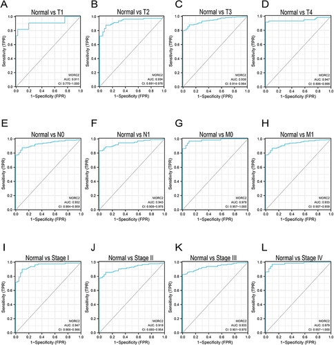 Figure 4 Analysis of the diagnostic value of MORC2 for COAD patients with different stages or grades. (A–D) ROC curve analysis of the diagnostic value of MORC2 in patients with COAD at T stage. (E–H) ROC curve analysis of the diagnostic value of MORC2 in patients with COAD at N and M stages. (I–L) ROC curve analysis of the diagnostic value of MORC2 in patients with COAD at TNM stage.