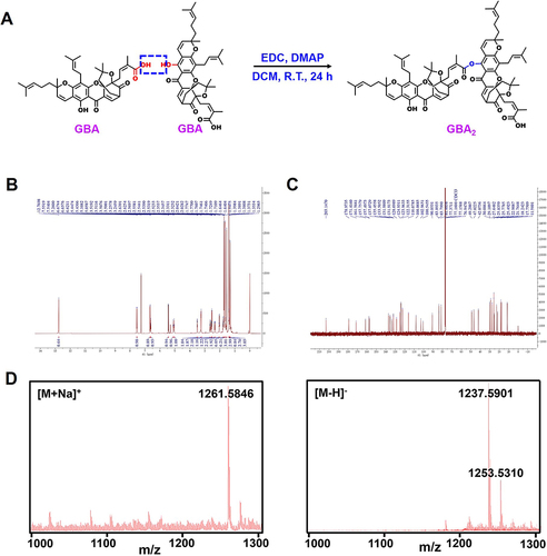 Figure 1 Identification of GBA2. (A) Synthesis route of GBA2. (B) 1H NMR spectrum of GBA2. (C) 13C NMR spectrum of GBA2. (D) MALDI-TOF/TOF-MS profile of GBA2 showing the expected molecular weight.