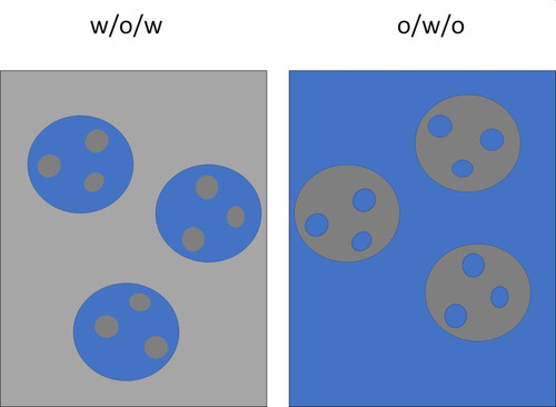 Figure 7 Schematic representation of water in oil in water (w/o/w) and oil in water in oil o/w/o emulsions.