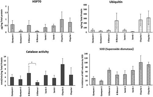 Figure 1. Biomarkers (mean ± sd) determined in organisms from different sites of Argentinean coast. Legend: I (low-tide zone); S (high-tide zone). *Significant differences (p<0.05) between tidal zones from the same site.