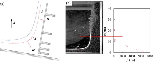 Figure 10. Jet curvature effect: pressure distribution along the vertical wall. Mixture of water and sediment: F=4.64, C=0.4, Test M-10: (a) intrinsic coordinates system, (b) flow curvature of the jet