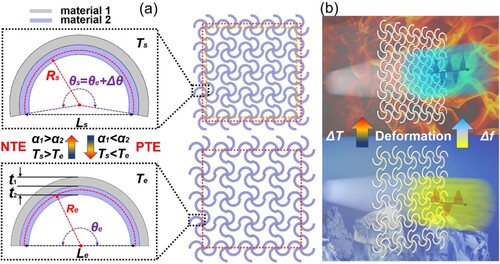 Figure 1. (a) The design of negative/positive/near-zero thermal expansion property of the multifunctional metasurface. (b) Schematic of the NTE metasurface’s modulating function on EM waves before and after thermal deformation.