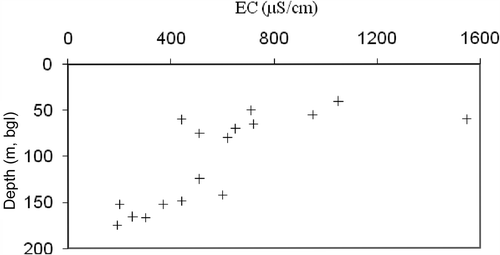 Figure 4. Vertical profiles of groundwater electrical conductivity (EC) in the Dupi Tila aquifer, Dhaka. FootnoteNotes.