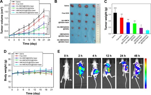 Figure 7 In vivo antitumor activity (n=4).Notes: (A) Relative tumor volume after different treatments. (B) Representative photographs of the tumors collected from various groups of mice at the end of the treatment (day 21). (C) The tumor weights at the end of therapy on day 21. (D) The body weight of mice during treatment. *P<0.05, **P<0.01, and ***P<0.001. (E) In vivo fluorescence images of HeLa tumor-bearing nude mice treated with HA-HMCN(DOX)@GQDs under laser irradiation at different time points.Abbreviations: DOX, doxorubicin; GQDs, graphene quantum dots; HA, hyaluronic acid; HMCN, hollow mesoporous carbon nanoparticle.