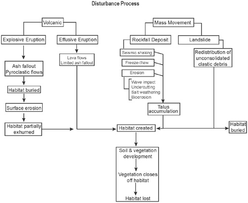 FIGURE 2. Disturbance processes that create, maintain, and destroy crested and least auklet nesting habitat. Volcanic disturbances are the primary process in the southern range (Aleutian and Kuril Islands), and mass movement is the primary process in the northern range (Bering Sea and Sea of Okhotsk).