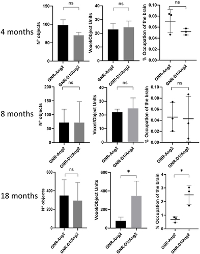 Figure 7 Data obtained through the Matlab analysis of total brain areas to determine the number of objects, the number of voxels per object, and the volume of occupation of the objects with respect to the total volume of the brain. This analysis was used for the three age groups of transgenic animals (4, 8, and 18 months of age). The student’s test was used for statistical analysis. *=p ≤ 0.05, n=3 for each group and ns means no significative.