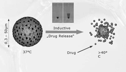 Figure 1 Graph illustrating contactless controllable drug carrying system based on thermosensitive magnetic nano- and micro particles. The insert shows the application of the system with Rhodamine B encapsulated beads that is released after heating up to 45 °C.