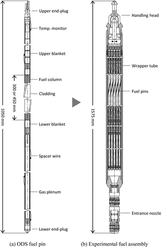 Figure 2 Schematic drawings of ODS cladding fuel pin and experimental fuel assembly