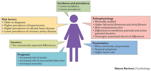 Figure 1. Overview of atrial fibrillation in women compared with in men (Adapted from Ko et al. [Citation5]).