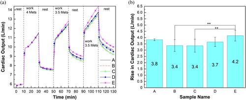 Figure 9. (a) Predicted cardiac output and (b) rise of predicted cardiac output at the end of the protocol in 35 °C, 40% RH environment. **p < 0.001 (extremely significant). Note: error bar = 99% confidence interval of the mean; Met = metabolic equivalent; RH = relative humidity.