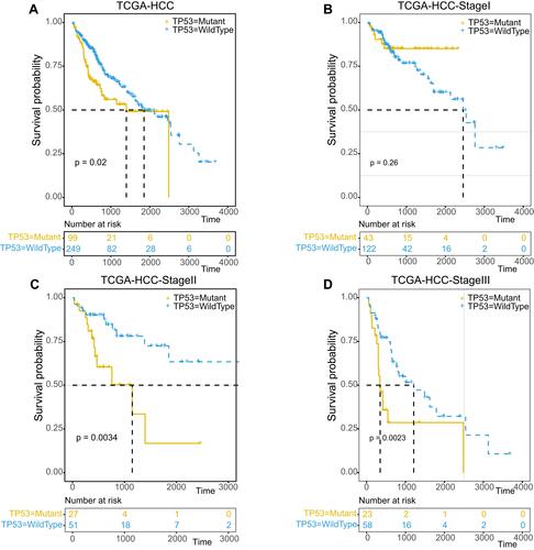 Figure 2 Overall survival analysis of TP53 in different pathological stage of HCC. Kaplan–Meier survival curve of overall survival of total (A), Stage I (B), Stage II (C) and Stage III (D) HCC patients in TP53 mutant or wild-type status.The light yellow line represents the mutant group and the light blue line represents the wild-type group.