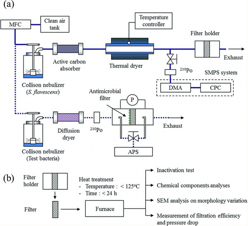 FIG. 1 Schematic of the experimental setup. (a) The nebulization—thermal drying process (solid line) and filtration test (dotted line), (b) outline of the experimental procedure.