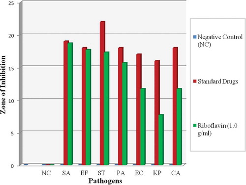 FIGURE 3 Comparison zone of inhibition between gram positive and gram negative bacteria and fungus. SA showed the highest susceptibility toward riboflavin solution compared to other pathogens. All the data were calculated through one way ANOVA and post-hoc multiple comparison tests. The results are expressed as mean ± SD for all pathogens.