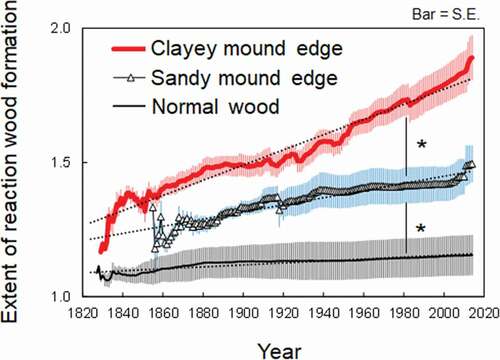 Figure 8. Reaction wood formation of trees growing on clayey mound edge (n = 22), trees growing on sandy mound edge (n = 6), and trees growing on non-hummocky soil (n = 3). The pink, blue, and gray bars indicate standard errors. The symbols (*) indicate that regression slopes are significantly (P < 0.05) different between positions along tree trunk