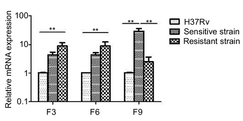 Figure 6 mazF3,6,9 mRNA expression in drug-sensitive and drug-resistant MTB strains and the control strain H37Rv.