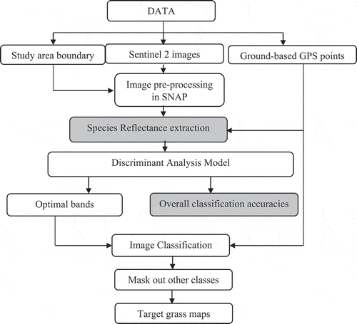Figure 2. Flowchart showing the methodological procedure followed in the study. The highlighted boxes indicated the stages at which statistical tests were performed.